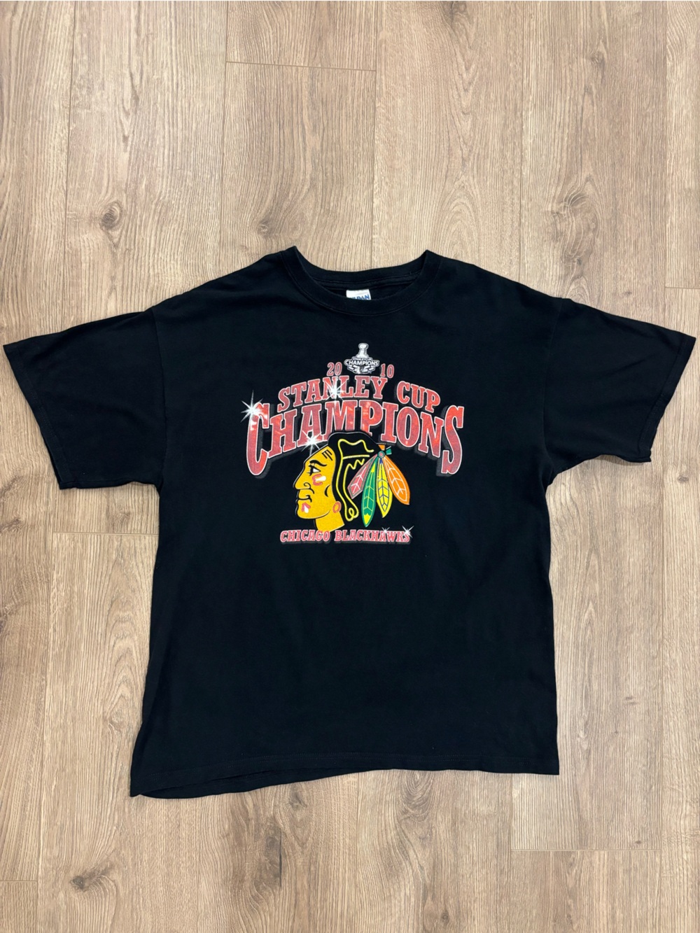 Chicago Blackhawks 2010 Stanley Cup Champions Graphic T Shirt